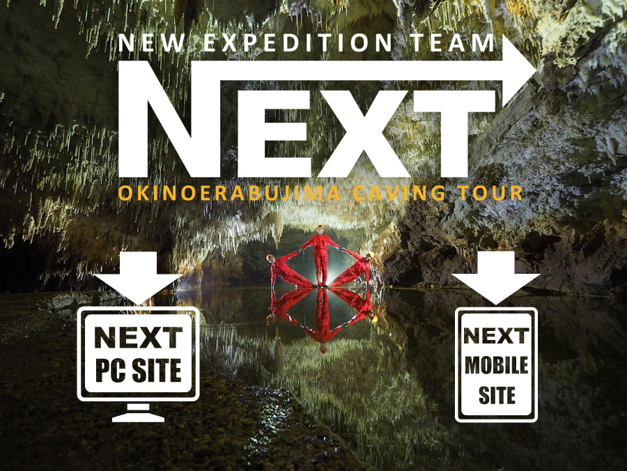 ���i�Ǖ��P�C�r���O�c�A�[�K�C�hNEXT