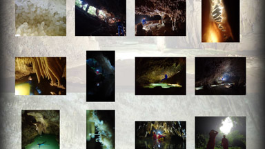 フォトギャラリー