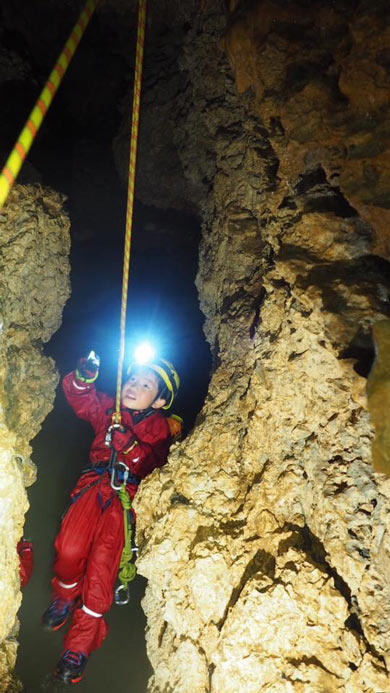 �C�����@�J�C�P���h�E