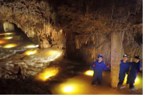 �J�̓��̗l�q