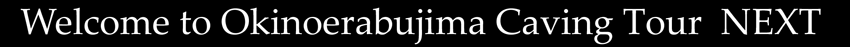 Welcome to Okinoerabujima Caving Guide Union